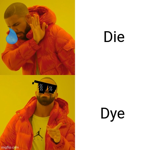 Drake Hotline Bling Meme | Die; Dye | image tagged in memes,drake hotline bling | made w/ Imgflip meme maker