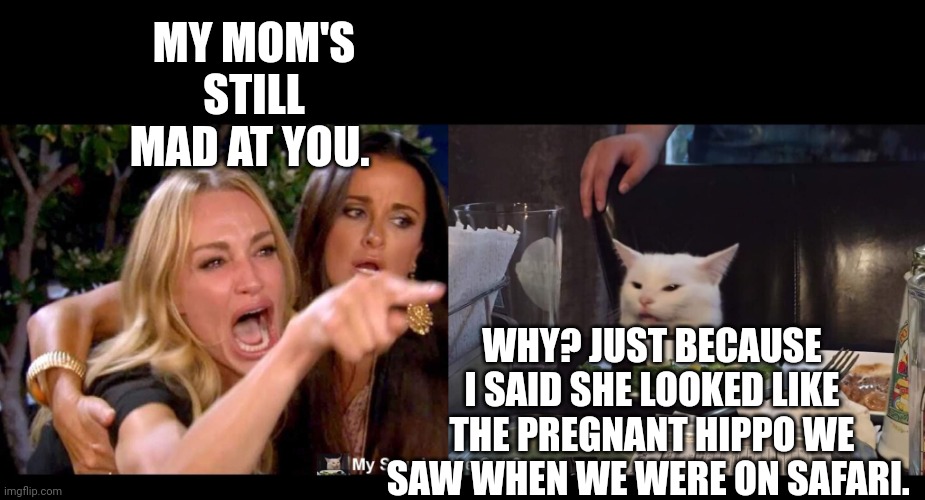 MY MOM'S STILL MAD AT YOU. WHY? JUST BECAUSE I SAID SHE LOOKED LIKE THE PREGNANT HIPPO WE SAW WHEN WE WERE ON SAFARI. | image tagged in smudge the cat | made w/ Imgflip meme maker
