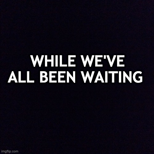 Black screen  | WHILE WE'VE ALL BEEN WAITING | image tagged in black screen | made w/ Imgflip meme maker