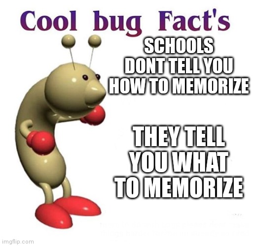 took me a while to realize |  SCHOOLS DONT TELL YOU HOW TO MEMORIZE; THEY TELL YOU WHAT TO MEMORIZE | image tagged in cool bug facts | made w/ Imgflip meme maker