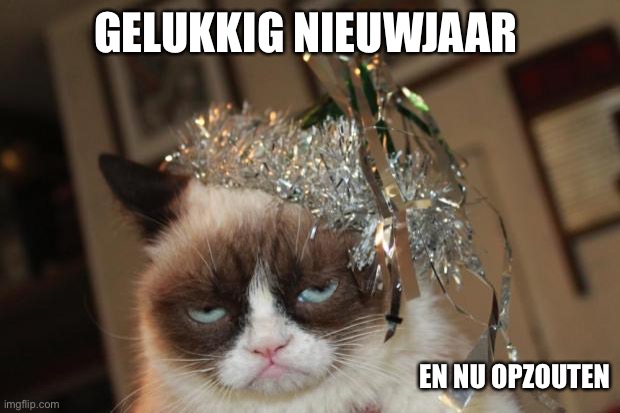 Gelukkig nieuwjaar | GELUKKIG NIEUWJAAR; EN NU OPZOUTEN | image tagged in grumpy cat new years | made w/ Imgflip meme maker