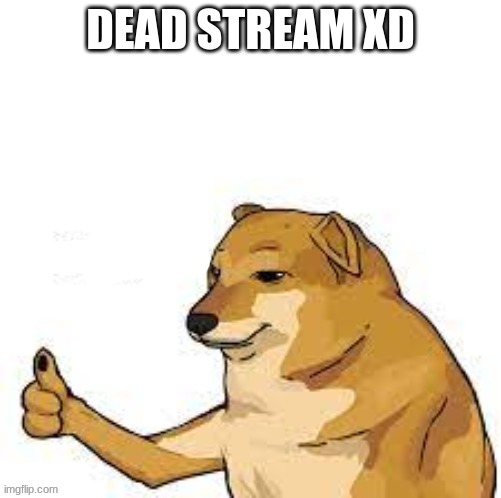 Cheems thumbs up | DEAD STREAM XD | image tagged in cheems thumbs up | made w/ Imgflip meme maker