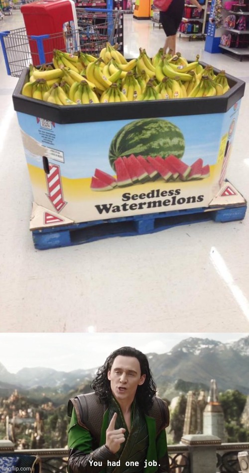 Please get it right next time | image tagged in you had one job,you had one job just the one | made w/ Imgflip meme maker