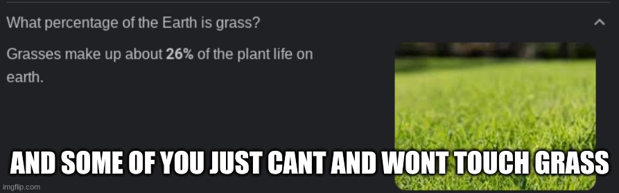 touch grass damnit | AND SOME OF YOU JUST CANT AND WONT TOUCH GRASS | made w/ Imgflip meme maker