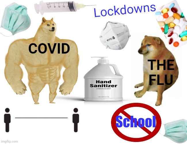 Buff Doge vs. Cheems Meme | COVID THE FLU School Lockdowns | image tagged in memes,buff doge vs cheems | made w/ Imgflip meme maker
