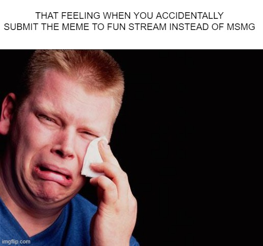 This just happened to me while making this | THAT FEELING WHEN YOU ACCIDENTALLY SUBMIT THE MEME TO FUN STREAM INSTEAD OF MSMG | image tagged in cry,sad,memes,funny | made w/ Imgflip meme maker