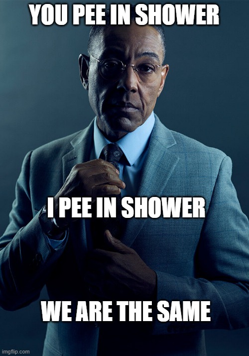 we same | YOU PEE IN SHOWER; I PEE IN SHOWER; WE ARE THE SAME | image tagged in gus fring we are not the same | made w/ Imgflip meme maker