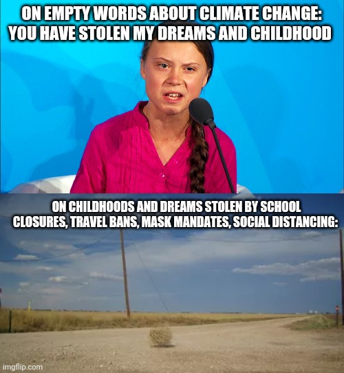 ON EMPTY WORDS ABOUT CLIMATE CHANGE: YOU HAVE STOLEN MY DREAMS AND CHILDHOOD; ON CHILDHOODS AND DREAMS STOLEN BY SCHOOL CLOSURES, TRAVEL BANS, MASK MANDATES, SOCIAL DISTANCING: | image tagged in greta thunberg,covid-19,social distancing,face mask | made w/ Imgflip meme maker