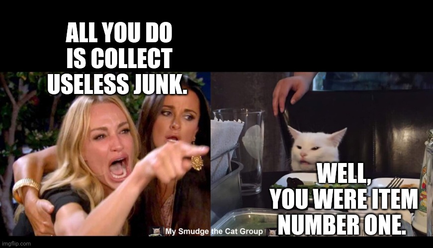 ALL YOU DO IS COLLECT USELESS JUNK. WELL, YOU WERE ITEM NUMBER ONE. | image tagged in smudge the cat | made w/ Imgflip meme maker