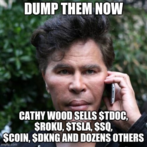 Bogdanov dump it | DUMP THEM NOW; CATHY WOOD SELLS $TDOC, $ROKU, $TSLA, $SQ, $COIN, $DKNG AND DOZENS OTHERS | image tagged in bogdanov dump it | made w/ Imgflip meme maker