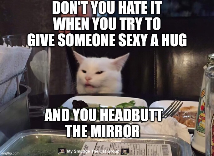 DON'T YOU HATE IT WHEN YOU TRY TO GIVE SOMEONE SEXY A HUG; AND YOU HEADBUTT THE MIRROR | image tagged in smudge the cat | made w/ Imgflip meme maker