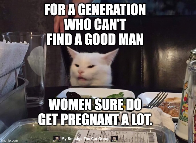 FOR A GENERATION WHO CAN'T FIND A GOOD MAN; WOMEN SURE DO GET PREGNANT A LOT. | image tagged in smudge the cat | made w/ Imgflip meme maker