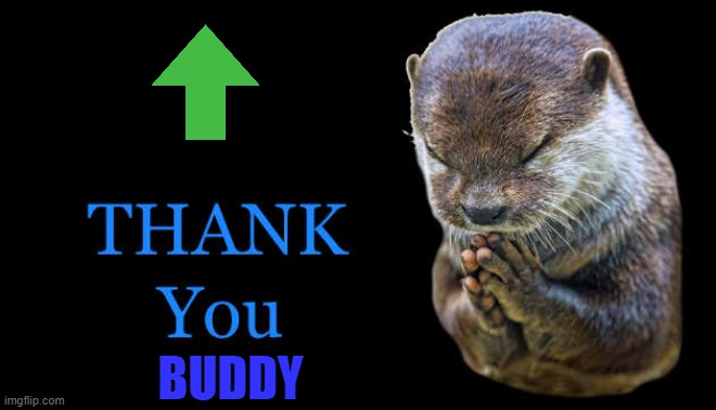 thank you | BUDDY | image tagged in thank you | made w/ Imgflip meme maker