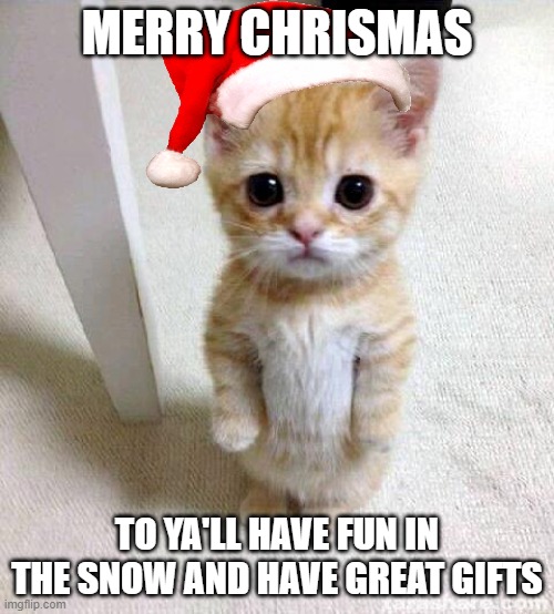 Cute Cat Meme | MERRY CHRISMAS; TO YA'LL HAVE FUN IN THE SNOW AND HAVE GREAT GIFTS | image tagged in memes,cute cat | made w/ Imgflip meme maker