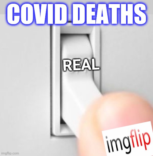 Light switch | COVID DEATHS REAL | image tagged in light switch | made w/ Imgflip meme maker