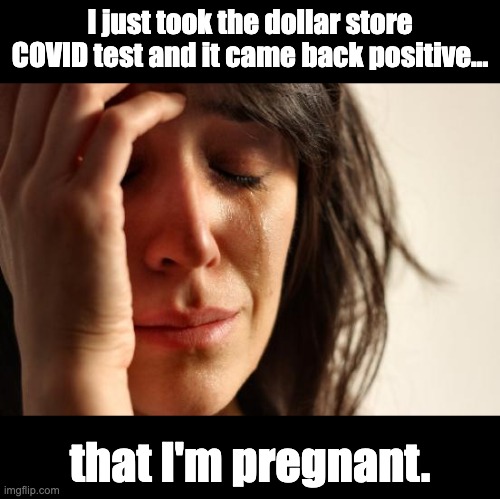 Dollar Store | I just took the dollar store COVID test and it came back positive... that I'm pregnant. | image tagged in memes,first world problems | made w/ Imgflip meme maker