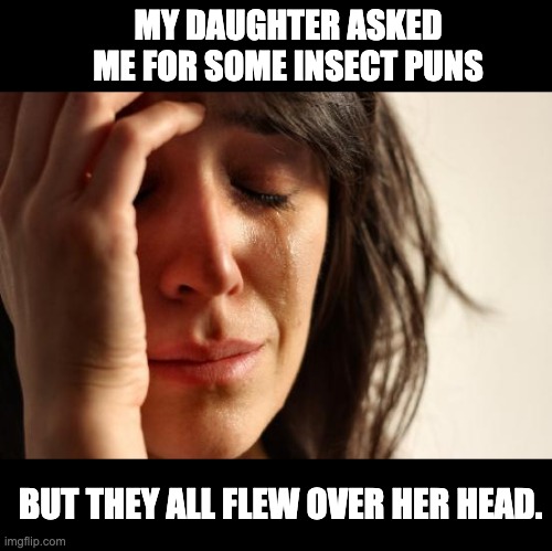 It bugs her | MY DAUGHTER ASKED ME FOR SOME INSECT PUNS; BUT THEY ALL FLEW OVER HER HEAD. | image tagged in memes,first world problems | made w/ Imgflip meme maker