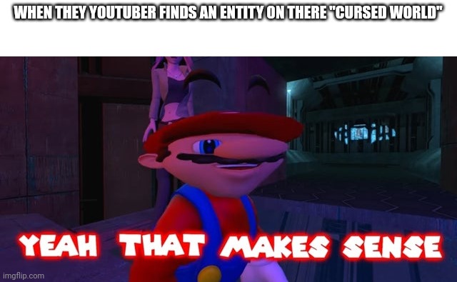Mario that make sense | WHEN THEY YOUTUBER FINDS AN ENTITY ON THERE "CURSED WORLD" | image tagged in mario that make sense | made w/ Imgflip meme maker