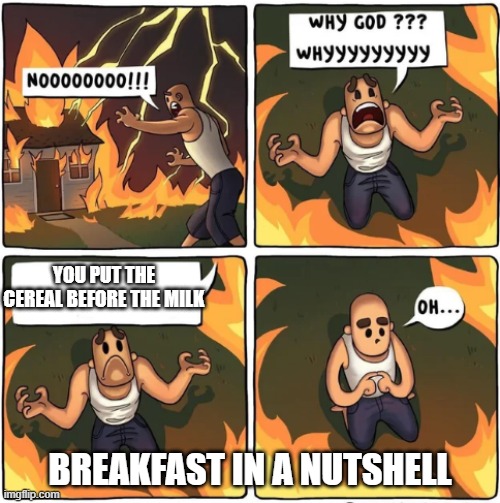 why god |  YOU PUT THE CEREAL BEFORE THE MILK; BREAKFAST IN A NUTSHELL | image tagged in why god | made w/ Imgflip meme maker