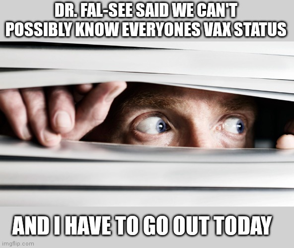 hiding | DR. FAL-SEE SAID WE CAN'T POSSIBLY KNOW EVERYONES VAX STATUS; AND I HAVE TO GO OUT TODAY | image tagged in hiding | made w/ Imgflip meme maker
