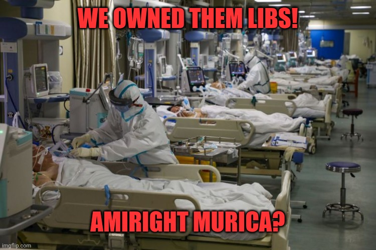 icu | WE OWNED THEM LIBS! AMIRIGHT MURICA? | image tagged in icu | made w/ Imgflip meme maker