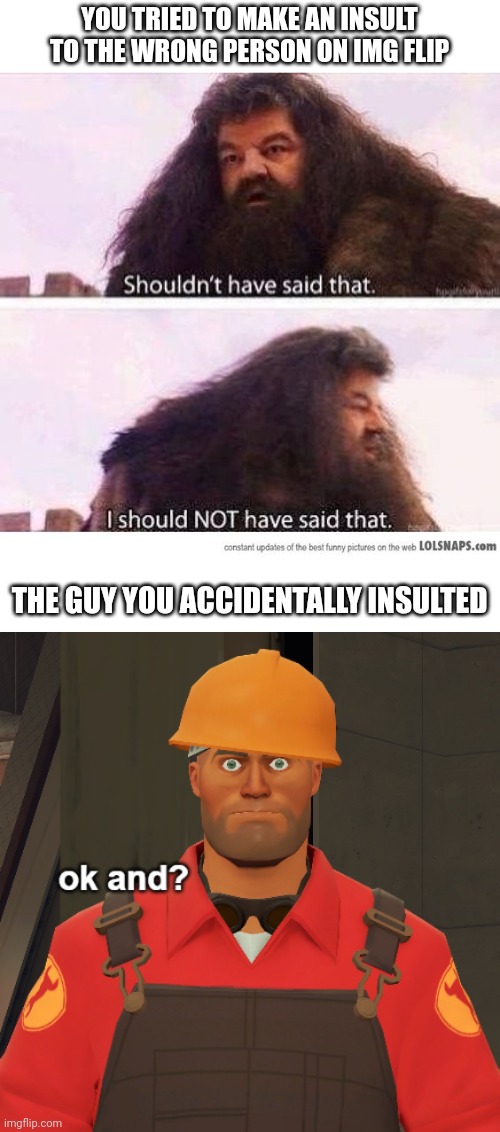 I am sorry dude | YOU TRIED TO MAKE AN INSULT TO THE WRONG PERSON ON IMG FLIP; THE GUY YOU ACCIDENTALLY INSULTED | image tagged in i shouldn't have said that,ok and | made w/ Imgflip meme maker