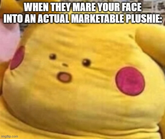 WHEN THEY MARE YOUR FACE INTO AN ACTUAL MARKETABLE PLUSHIE: | made w/ Imgflip meme maker