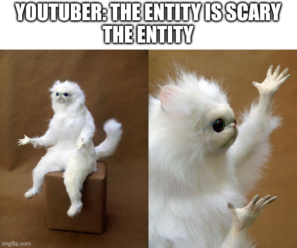 Persian Cat Room Guardian | YOUTUBER: THE ENTITY IS SCARY
THE ENTITY | image tagged in memes,persian cat room guardian | made w/ Imgflip meme maker