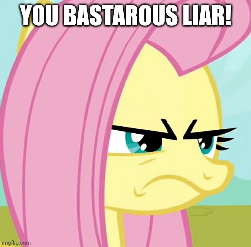 YOU BASTAROUS LIAR! | image tagged in bastard,funny,fluttershy,angry,my little pony | made w/ Imgflip meme maker