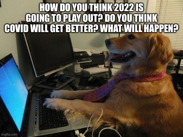 Share your thoughts! | HOW DO YOU THINK 2022 IS GOING TO PLAY OUT? DO YOU THINK COVID WILL GET BETTER? WHAT WILL HAPPEN? | image tagged in dog behind a computer | made w/ Imgflip meme maker