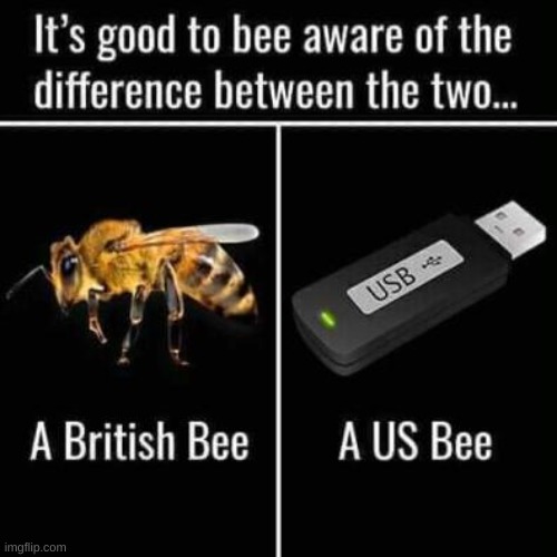 be aware... | image tagged in us,british,b,usb,bee | made w/ Imgflip meme maker