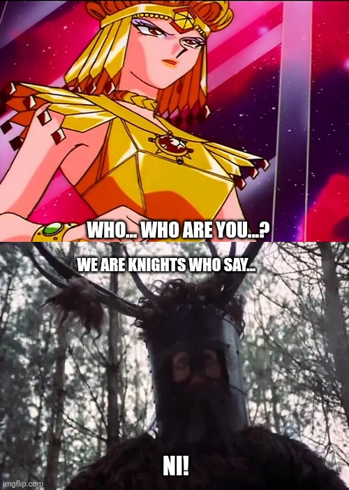 WHO... WHO ARE YOU...? WE ARE KNIGHTS WHO SAY... NI! | made w/ Imgflip meme maker