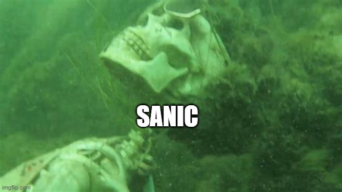 SANIC | made w/ Imgflip meme maker