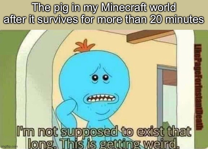 I just wanted beef for today, ok? | The pig in my Minecraft world after it survives for more than 20 minutes | image tagged in minecraft | made w/ Imgflip meme maker