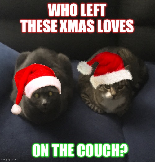 Loaves of bread | WHO LEFT THESE XMAS LOVES; ON THE COUCH? | image tagged in loaves of bread | made w/ Imgflip meme maker