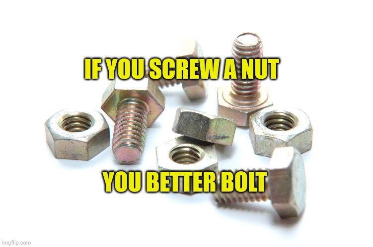 Be Who You Are |  IF YOU SCREW A NUT; YOU BETTER BOLT | image tagged in nuts and bolts,soulmates,relationships,dating,roleplaying,identity | made w/ Imgflip meme maker