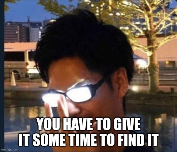 Anime glasses | YOU HAVE TO GIVE IT SOME TIME TO FIND IT | image tagged in anime glasses | made w/ Imgflip meme maker