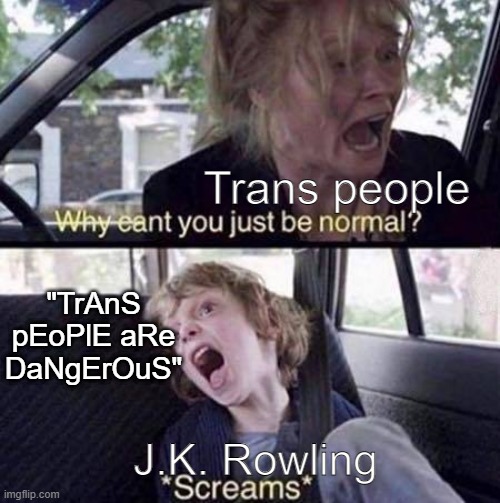 Why Can't You Just Be Normal | Trans people; "TrAnS pEoPlE aRe DaNgErOuS"; J.K. Rowling | image tagged in why can't you just be normal,terf | made w/ Imgflip meme maker