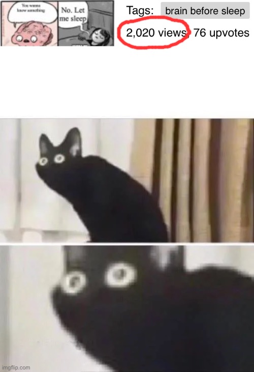 image tagged in oh no black cat | made w/ Imgflip meme maker