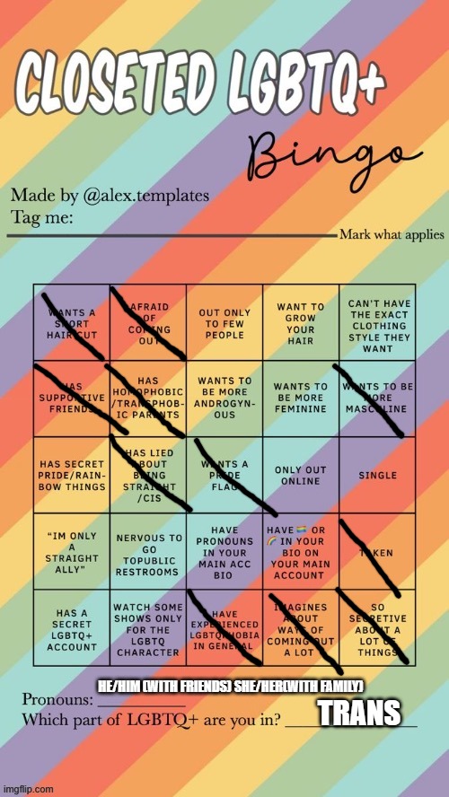 Closeted LGBTQ+ Bingo | HE/HIM (WITH FRIENDS) SHE/HER(WITH FAMILY); TRANS | image tagged in closeted lgbtq bingo | made w/ Imgflip meme maker