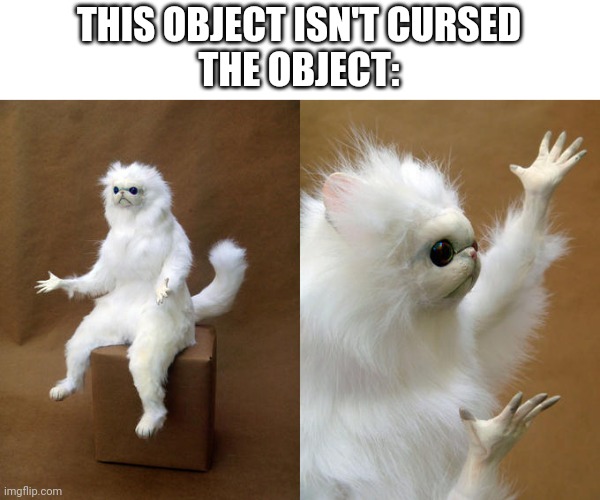 Persian Cat Room Guardian | THIS OBJECT ISN'T CURSED
THE OBJECT: | image tagged in memes,persian cat room guardian | made w/ Imgflip meme maker