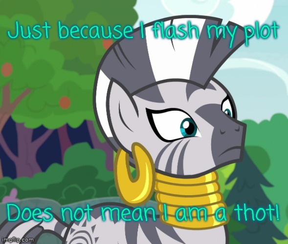 Zecora must rhyme | Just because I flash my plot; Does not mean I am a thot! | image tagged in concerned zecora mlp,zecora,mlp,plot twist,zebra,rhymes | made w/ Imgflip meme maker