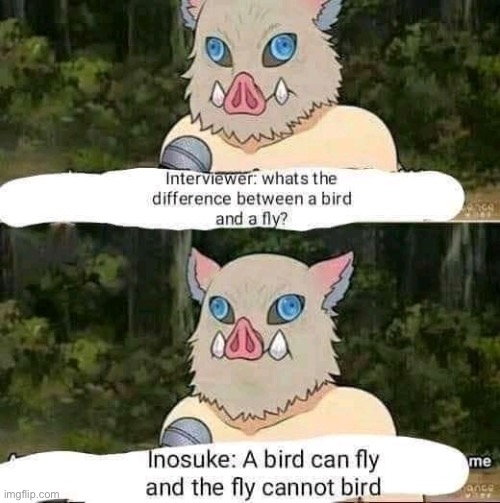 Birb | image tagged in anime | made w/ Imgflip meme maker