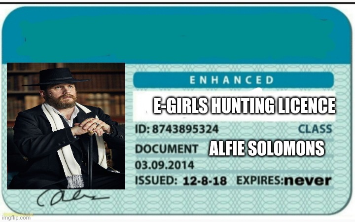 Blank Hunting License | E-GIRLS HUNTING LICENCE; ALFIE SOLOMONS | image tagged in blank hunting license | made w/ Imgflip meme maker