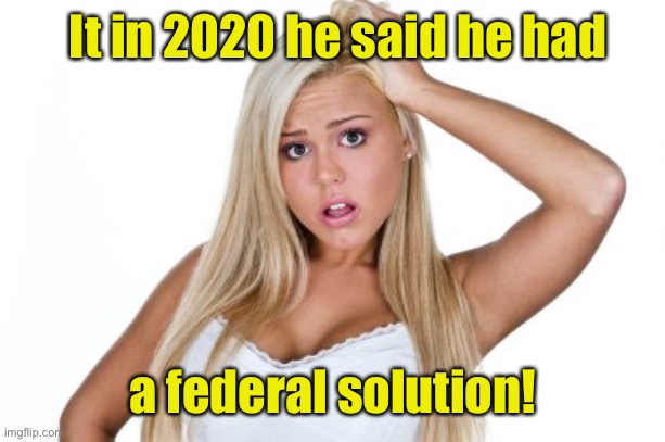 Dumb Blonde | It in 2020 he said he had a federal solution! | image tagged in dumb blonde | made w/ Imgflip meme maker