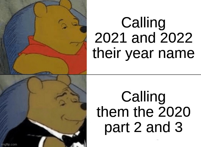 I don't know why I call it that. I think the first part is always better mostly because I hardly had school | Calling 2021 and 2022 their year name; Calling them the 2020 part 2 and 3 | image tagged in memes,tuxedo winnie the pooh | made w/ Imgflip meme maker