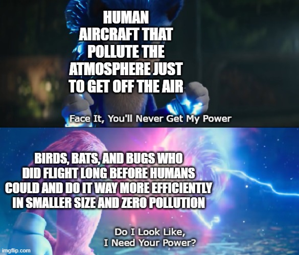 Do I need it? meme | HUMAN AIRCRAFT THAT POLLUTE THE ATMOSPHERE JUST TO GET OFF THE AIR; BIRDS, BATS, AND BUGS WHO DID FLIGHT LONG BEFORE HUMANS COULD AND DO IT WAY MORE EFFICIENTLY IN SMALLER SIZE AND ZERO POLLUTION | image tagged in do i look like i need your power meme,animals,do i look like i need your power,memes,pollution | made w/ Imgflip meme maker