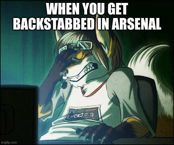 arsenal is a fun game tho | WHEN YOU GET BACKSTABBED IN ARSENAL | image tagged in furry facepalm | made w/ Imgflip meme maker