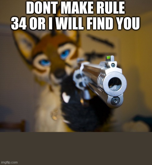 "f-furries are bad?" BANG | DONT MAKE RULE 34 OR I WILL FIND YOU | image tagged in furry with gun | made w/ Imgflip meme maker