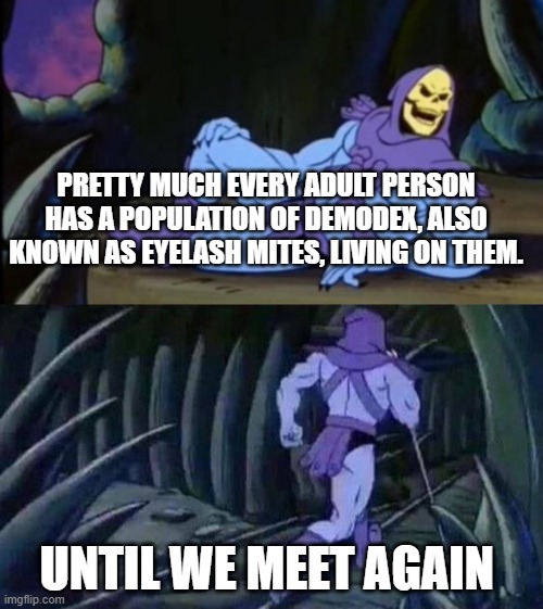 Uncomfortable Truth Skeletor | PRETTY MUCH EVERY ADULT PERSON HAS A POPULATION OF DEMODEX, ALSO KNOWN AS EYELASH MITES, LIVING ON THEM. UNTIL WE MEET AGAIN | image tagged in uncomfortable truth skeletor | made w/ Imgflip meme maker